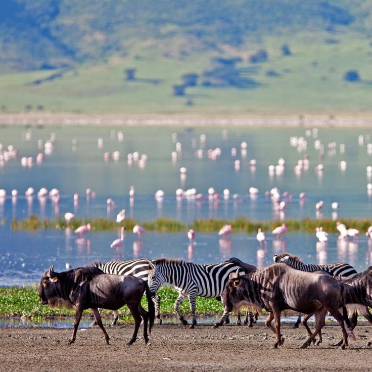 3-Day Fly in from Zanzibar Tarangire, Crater, & Manyara